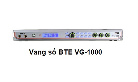 Vang số BTE VG-1000 chính hãng giá rẻ