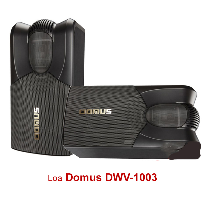 Loa Domus DWV-1003