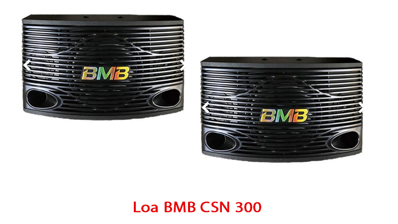 Loa karaoke BMB CSN 300