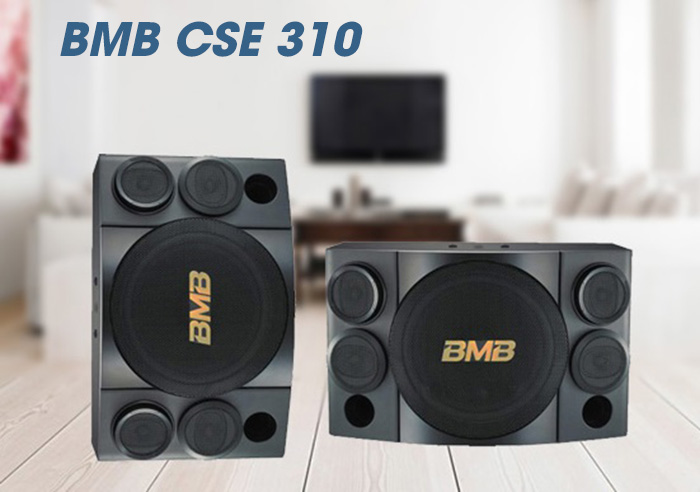 Loa BMB CSE 310