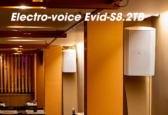 Loa Electro-voice Evid-S8.2TB