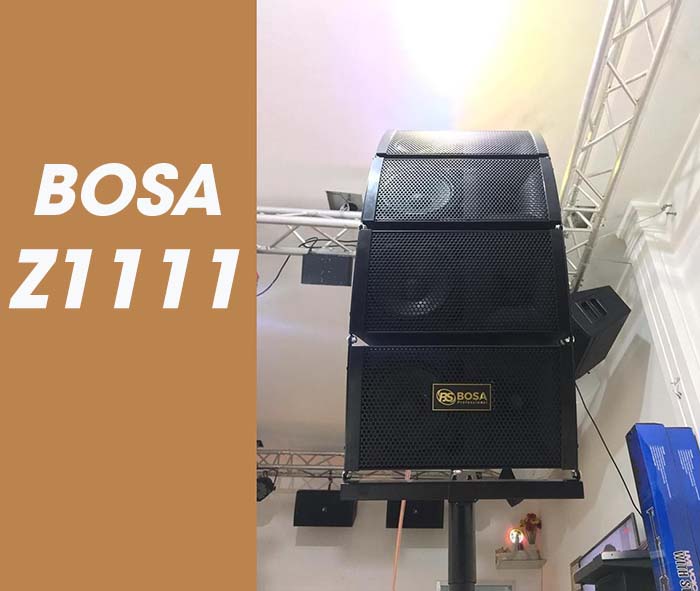 Loa array BOSA Z1111
