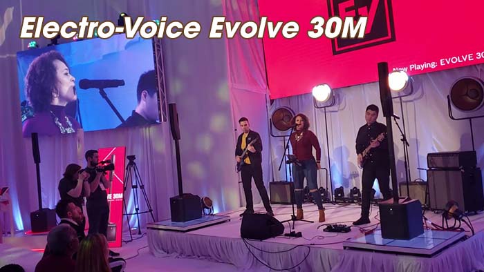 Loa array Electro-Voice Evolve 30M