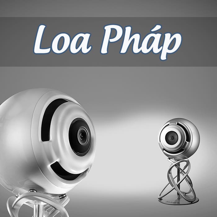 Loa nhập khẩu từ Pháp Loa nhập khẩu từ Pháp
