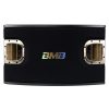 Loa BMB CSV 900SE